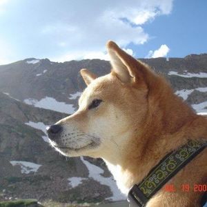 Meet your Posher, Marianne